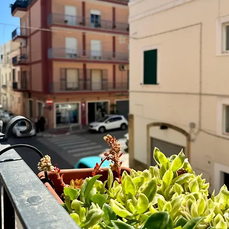 Casa Palestro 公寓