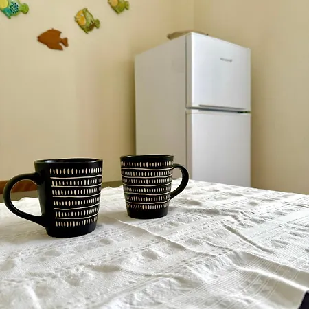 Casa Palestro 公寓 *