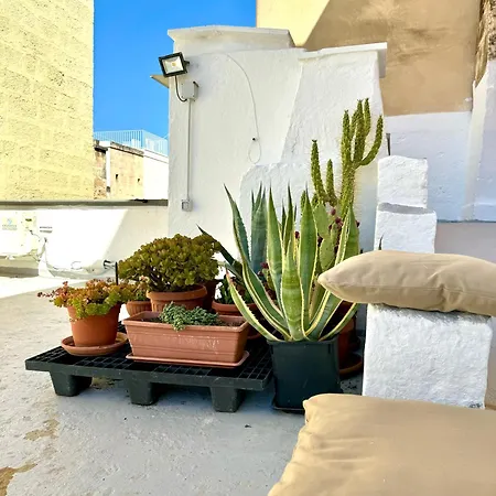 Casa Palestro * 莫诺波利